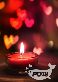 晟昊国投建湖有限公司